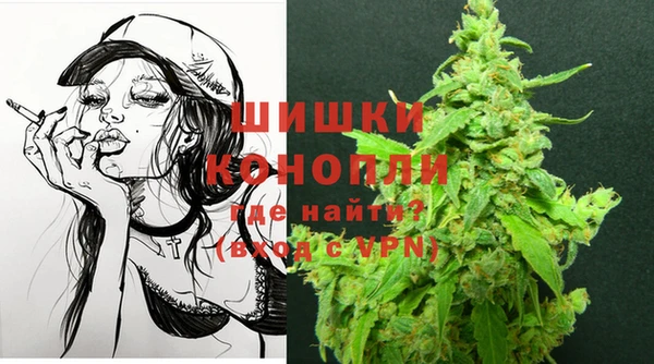 соль ск Коряжма