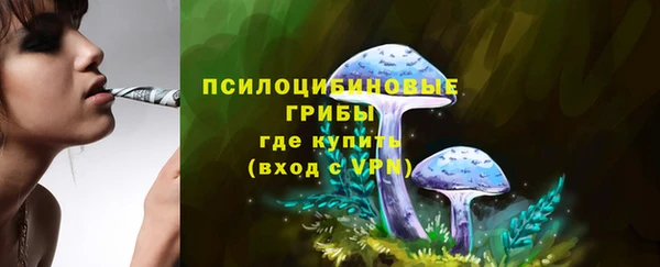 соль ск Коряжма